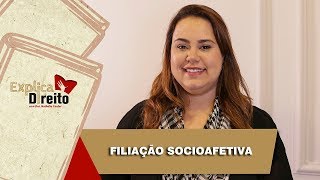 Explica Direito Filiação Socioafetiva  2019 [upl. by Sam]