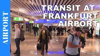 TRANSIT WALK AT FRANKFURT Airport FRA Terminal 1  Connection Flight Transfer Arriving amp Departing [upl. by Irap257]